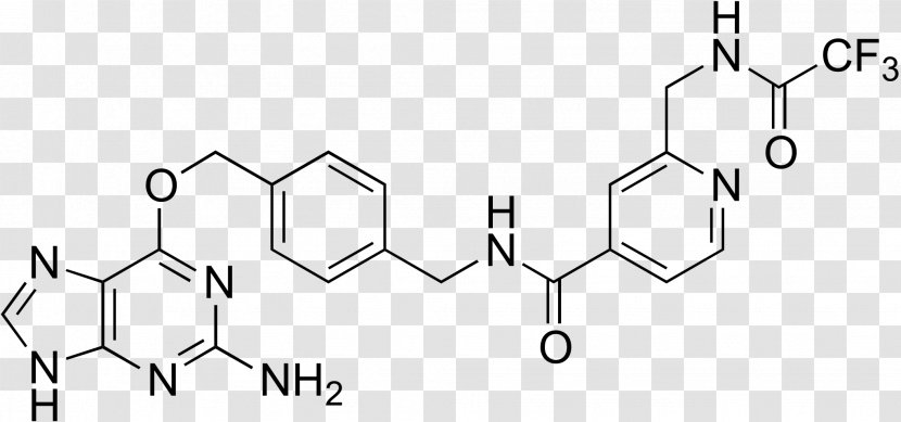 Bortezomib Erlotinib Proteasome Inhibitor Chemical Substance Cell - Silhouette - Cartoon Transparent PNG