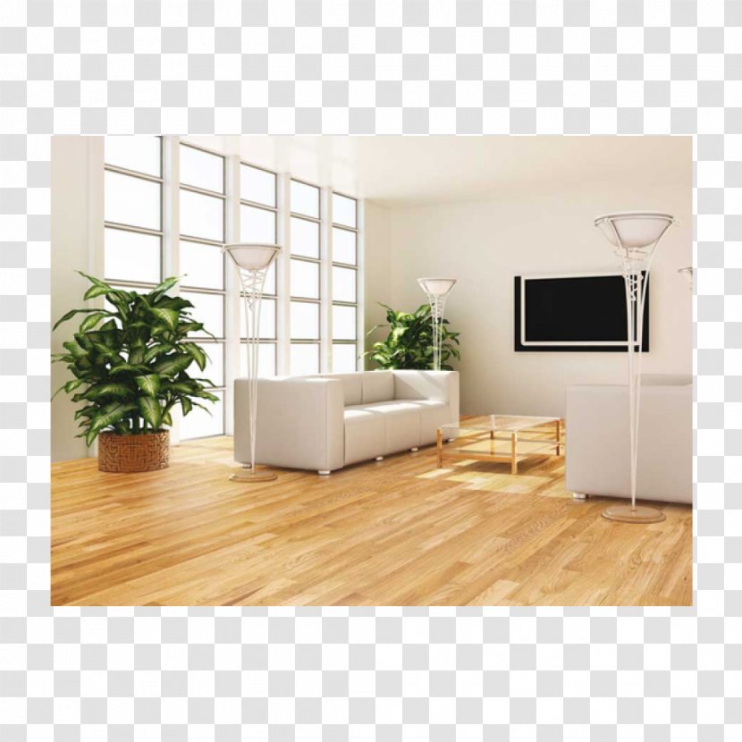 Plant Feng Shui Living Room Drawing Tree - Interior Design Transparent PNG