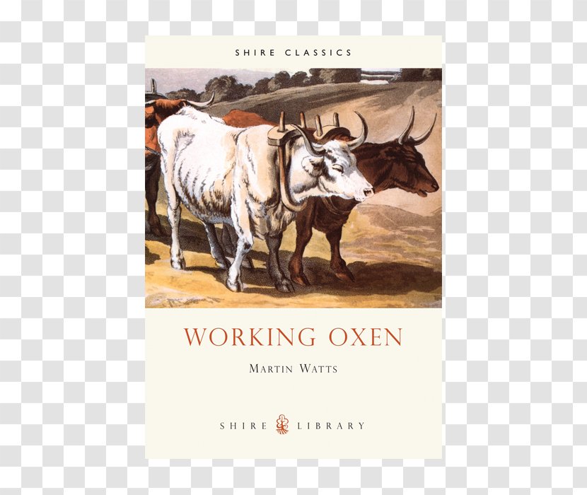 Cattle Ox Plough Work Horse Handbook - Horn - Indian Farmer Transparent PNG