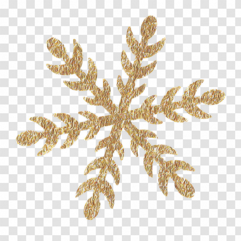 Fern Transparent PNG