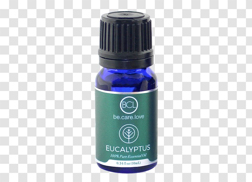 Essential Oil Aromatherapy Spa Eucalyptus - Perfume Transparent PNG