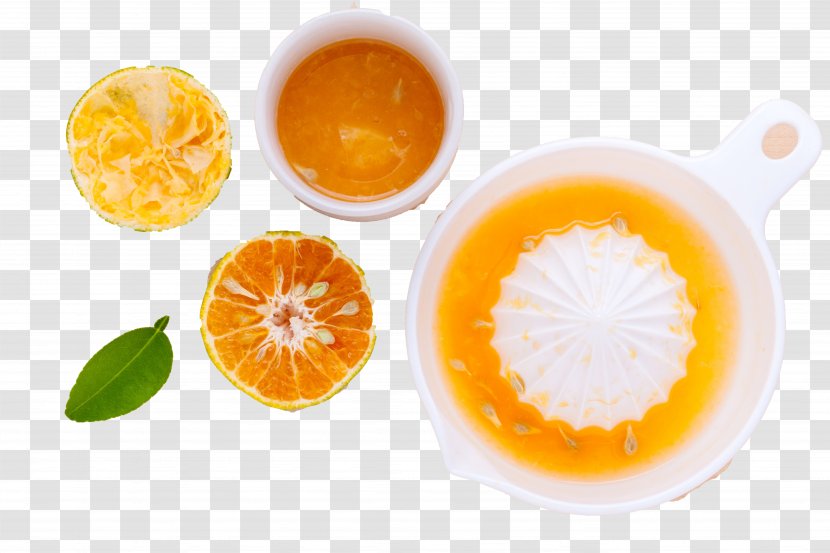 Orange Juice Cocktail Lemon Tangerine Transparent PNG