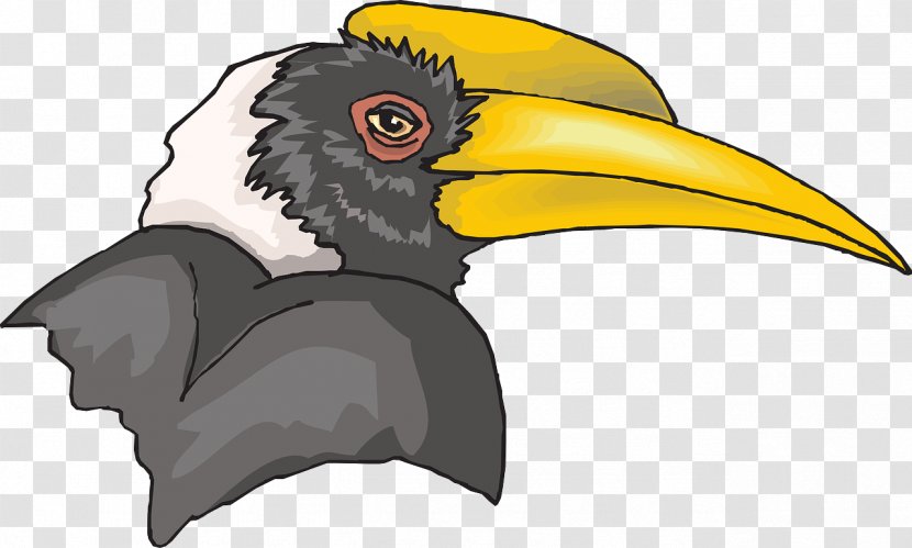 Bird Great Hornbill Clip Art - Of Prey Transparent PNG