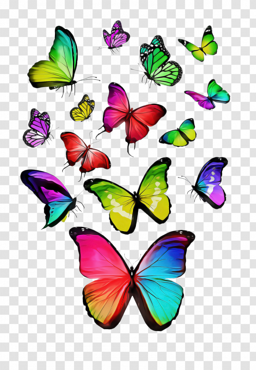 Butterfly Insect Moths And Butterflies Pollinator Wing Transparent PNG