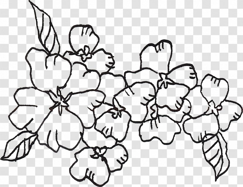 Drawing Image Art Floral Design - Plant - Flower Line Transparent PNG