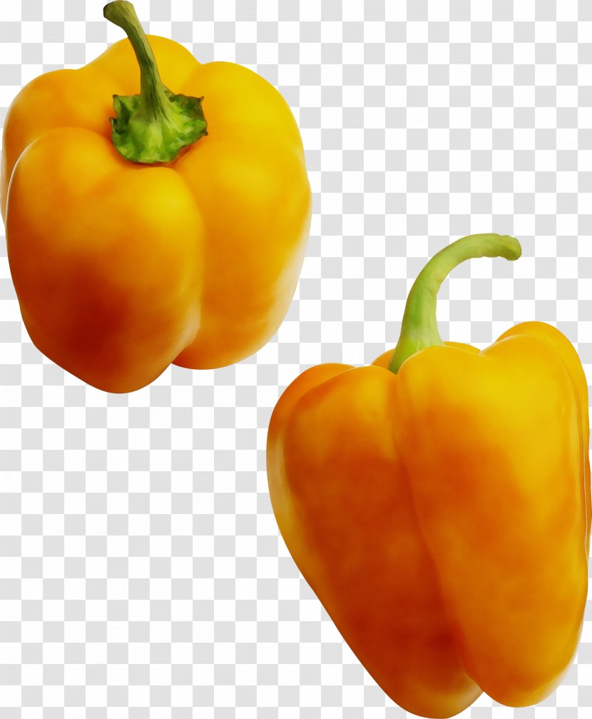 Orange - Paint - Pimiento Yellow Transparent PNG