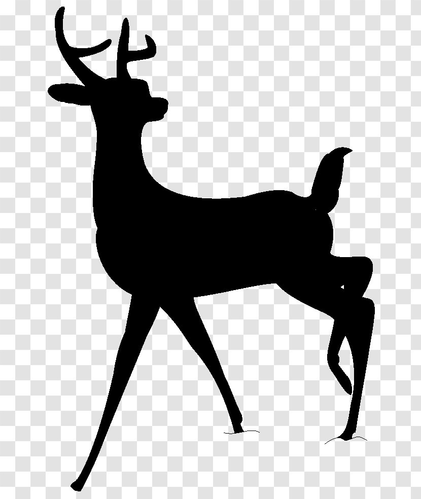 White-tailed Deer Faline Bambi Reindeer - Animal Transparent PNG