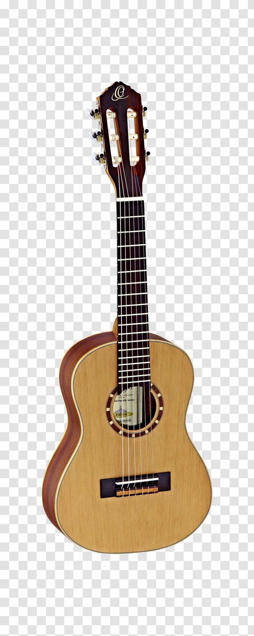 Steel-string Acoustic Guitar C. F. Martin & Company Classical - Watercolor Transparent PNG