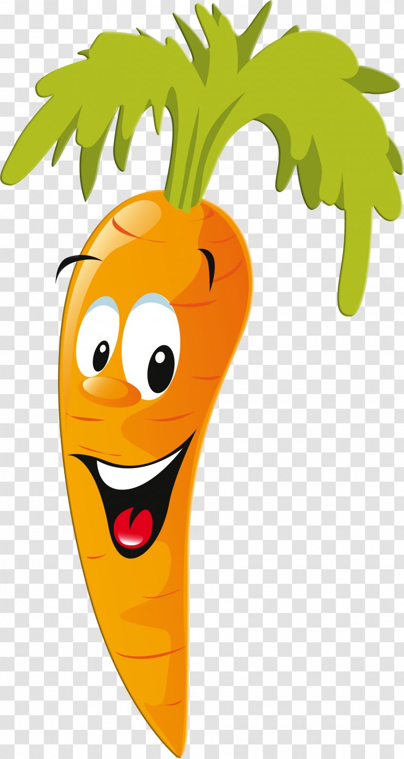 Clip Art Cartoon Carrot Vector Graphics - Fruit Transparent PNG