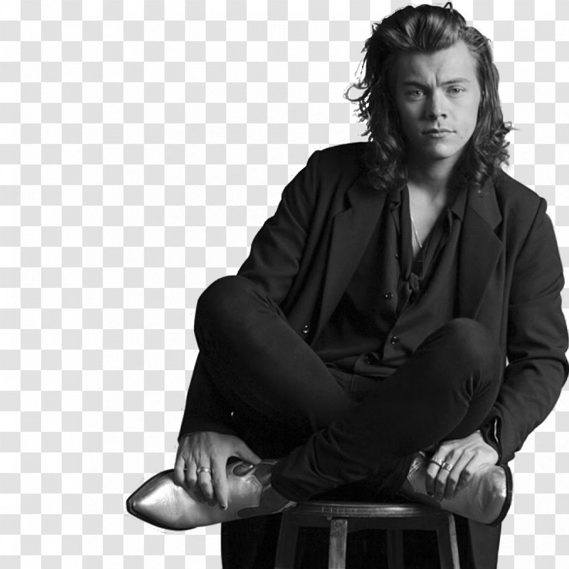Harry Styles One Direction Musician Art - Tree - Post It Transparent PNG
