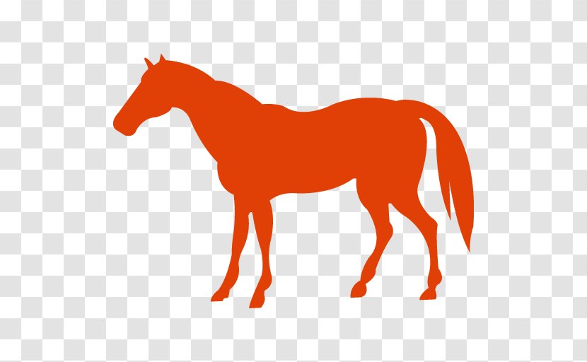 Mustang Arabian Horse American Quarter Paint Pony Transparent PNG
