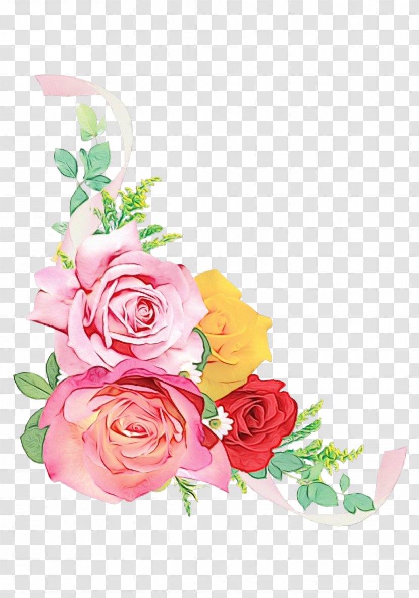 Garden Roses - Paint - Petal Rose Order Transparent PNG