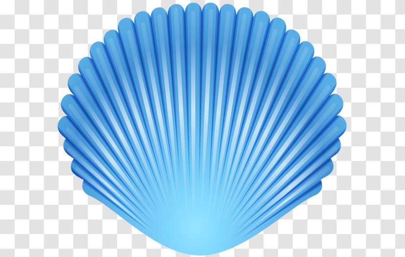 Art Clip - Seashell - Crown Transparent PNG