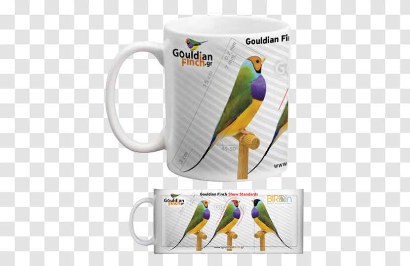 Parakeet Mug Macaw - Parrot Transparent PNG