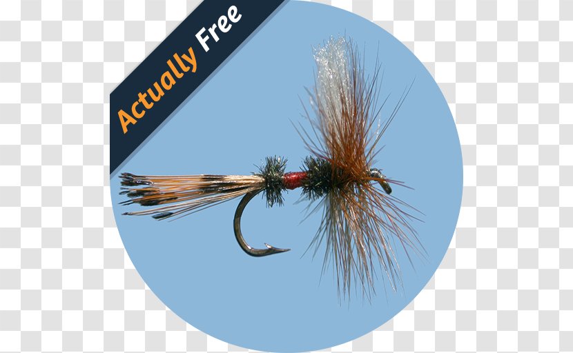Fly Fishing Simulator HD Baits & Lures - Game - Flyfishinghd Transparent PNG