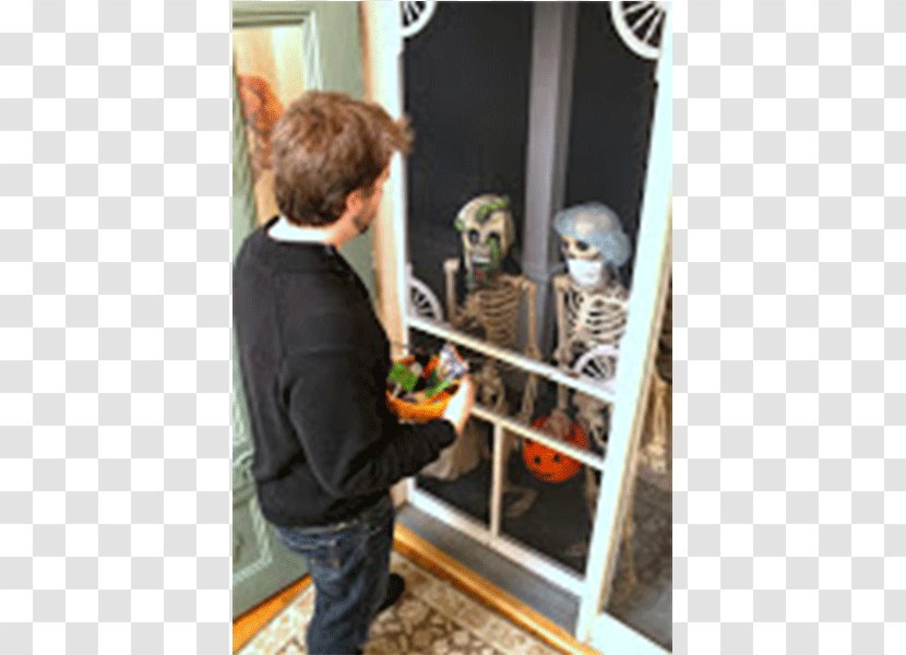 Human Skeleton Bone Image Photograph - Party Transparent PNG