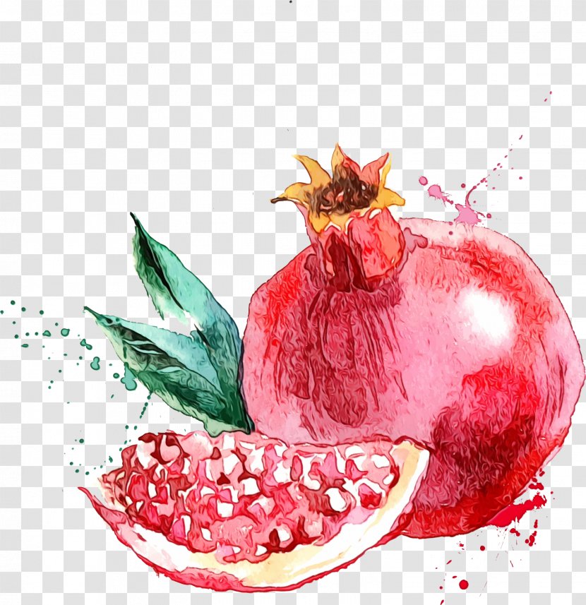 Pomegranate Fruit Natural Foods Food Plant - Superfood Accessory Transparent PNG