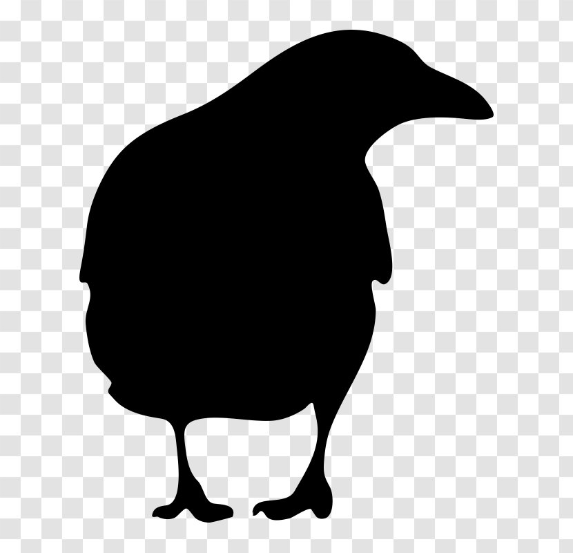 American Crow Common Raven Clip Art - Bird Transparent PNG