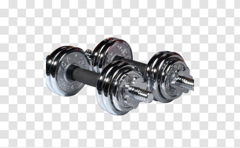 Dumbbell Weight Training Barbell Exercise Physical Fitness Transparent PNG