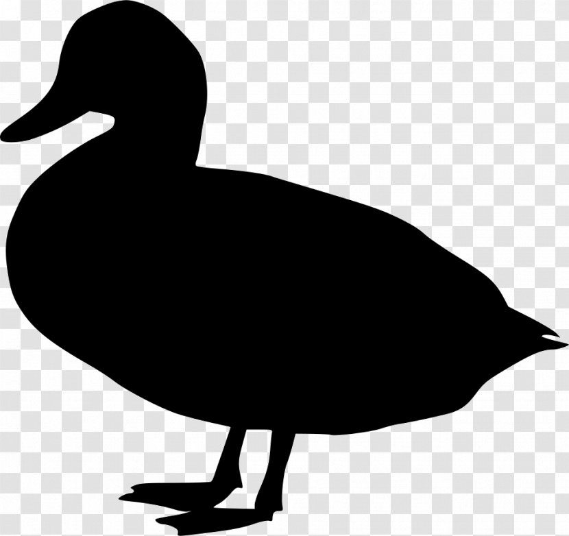 Duck Goose Fowl Neck Clip Art - Bird Transparent PNG
