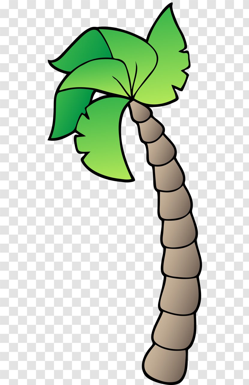 Clip Art Coconut Drawing Image Cartoon - Animation Transparent PNG