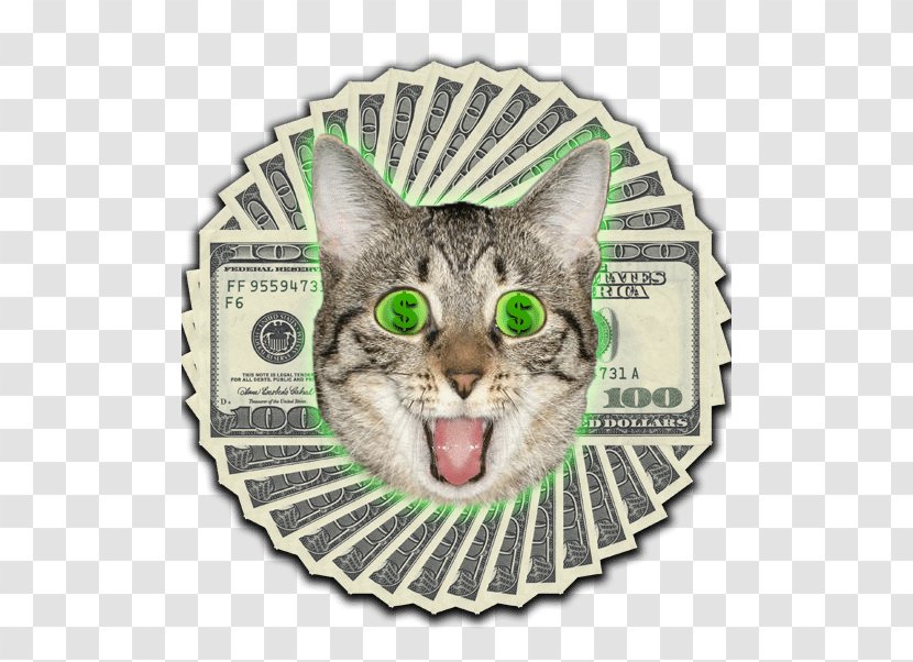European Shorthair Tabby Cat American Ethereum Finance - Domestic Shorthaired - Shop Transparent PNG