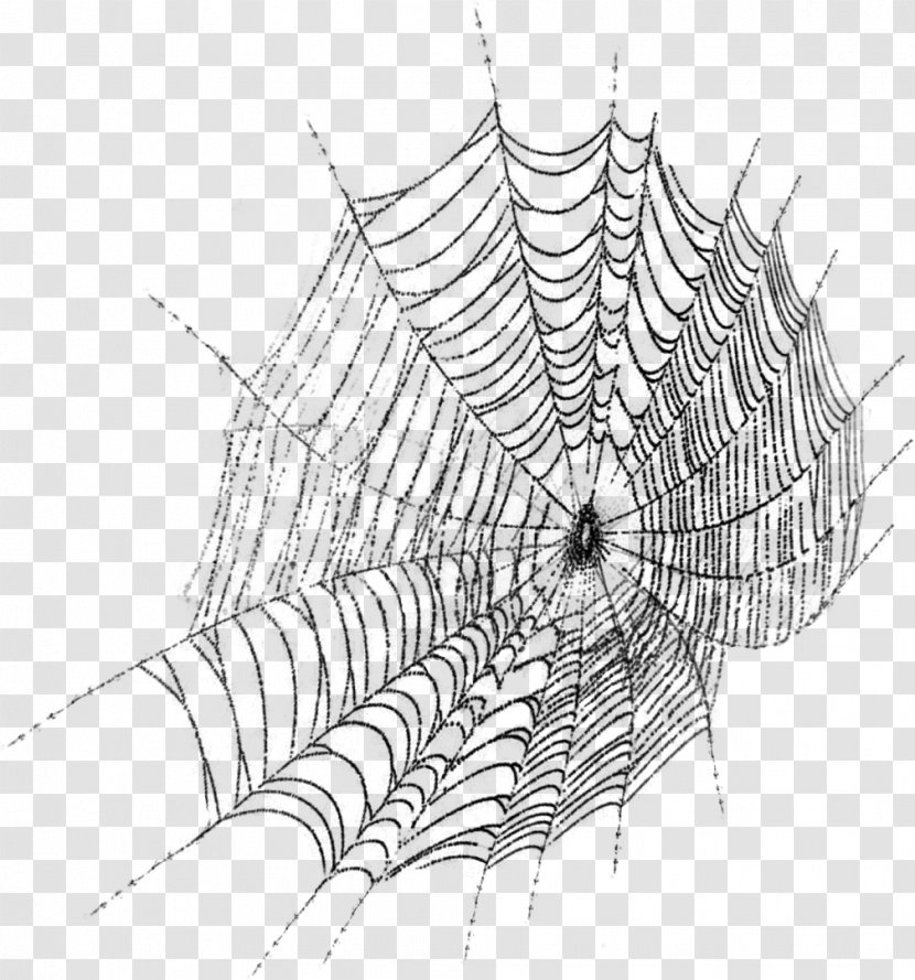 Spider Web Silk Clip Art - Flower Transparent PNG