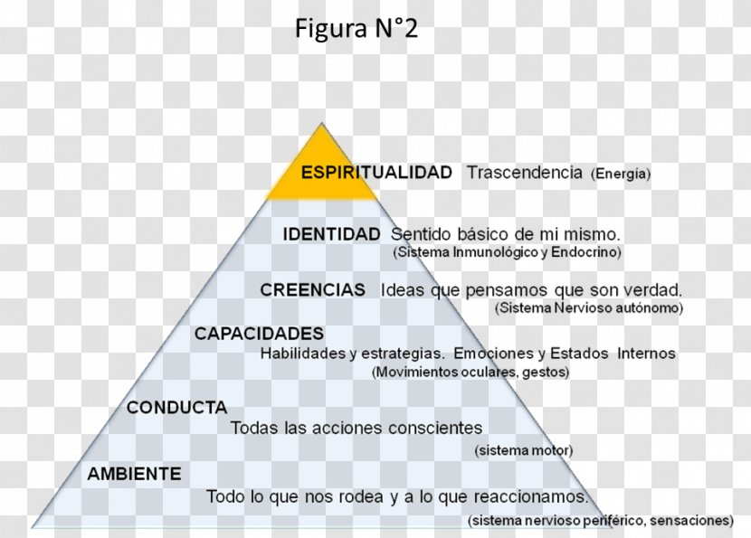 Triangle Diagram Brand Transparent PNG