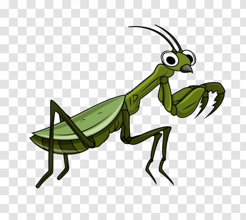 Grasshopper Cartoon Clip Art Transparent PNG