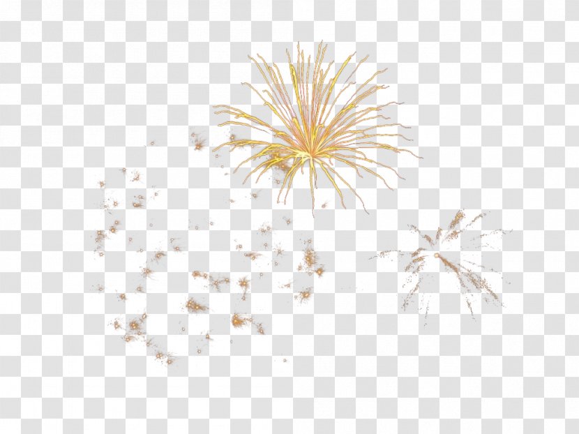 Petal Computer Pattern - White - Golden Fireworks Bloom Transparent PNG