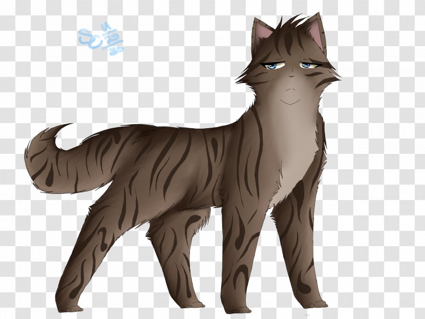 Whiskers Cat Dog Fur Canidae Transparent PNG