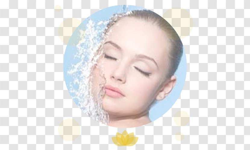 Skin Care Water Face Cosmetics - Cream Transparent PNG