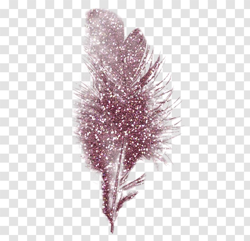 Feather Gold - Black And White Transparent PNG