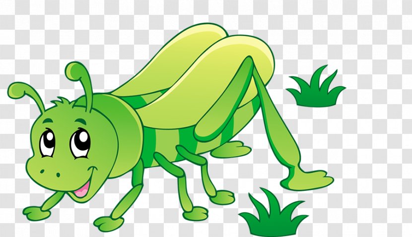 Insect Clip Art - Grasshopper Transparent PNG