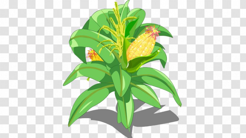 Fruit Tree - Creativity - Corn Transparent PNG