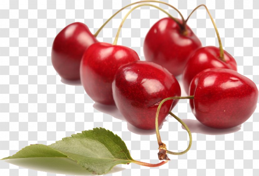 Cherry Fruit Red Cerise - Malpighia Transparent PNG