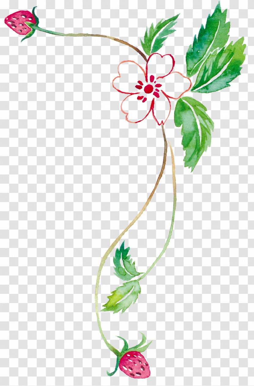 Watercolor Painting Tabloid Clip Art - Flora - Strawberry Vine Transparent PNG