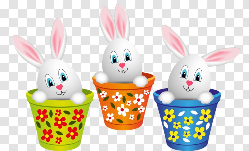 Easter Bunny Rabbit Leporids Drawing Transparent PNG
