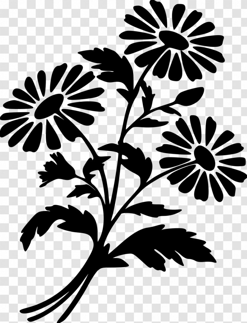 Drawing Of Family - Flower - Daisy Plant Stem Transparent PNG
