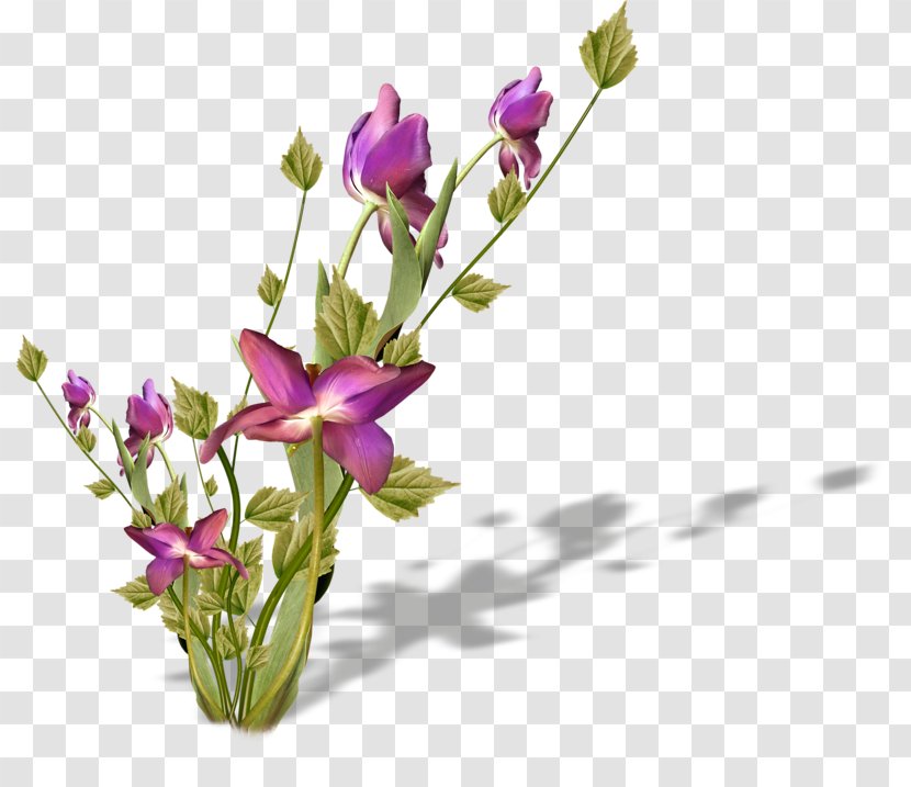 Floral Design Cut Flowers Petal Plant - Flower Transparent PNG