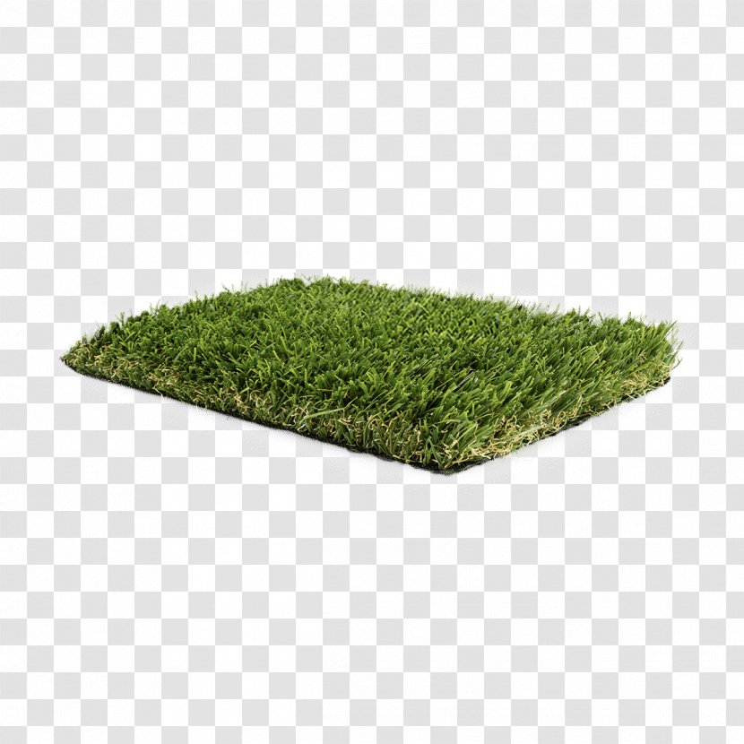 Grass Green Lawn Plant Shrub Transparent PNG