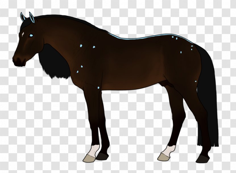 Horse Tack Stallion Pony Bridle - Harnesses - Dream Catcher Transparent PNG