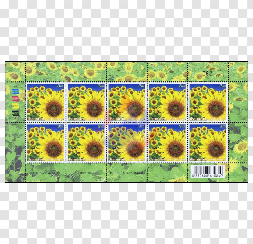 Common Sunflower Postage Stamps Definitive Stamp Seed Daisy Family - Songkran Transparent PNG