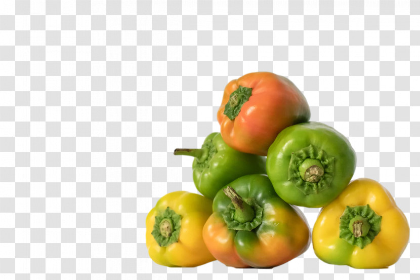 Salad Transparent PNG