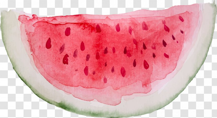 Watercolor Painting Vector Graphics Watermelon Illustration - Citrullus - Flor De Fruta Transparent PNG