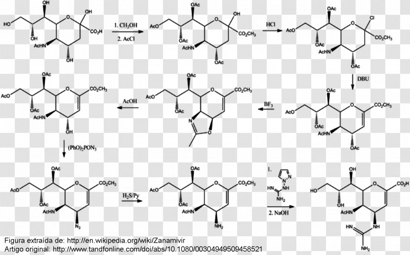 Chemistry Swine Influenza Neuraminidase Virus - Flower - Viral Transparent PNG