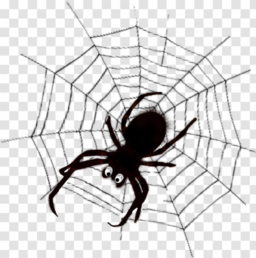Widow Spiders Spider Web Black And White Clip Art - Artwork Transparent PNG