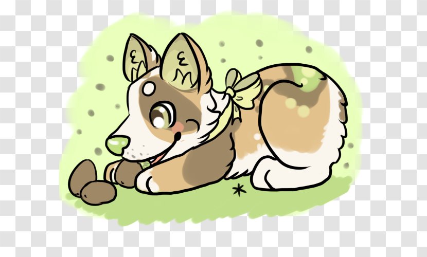 Whiskers Cat Kiwifruit Pembroke Welsh Corgi Mammal - Food - Eating Fruit Transparent PNG