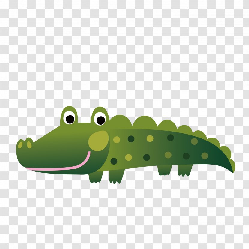 Water Crocodile - Crocodilia - Green Transparent PNG