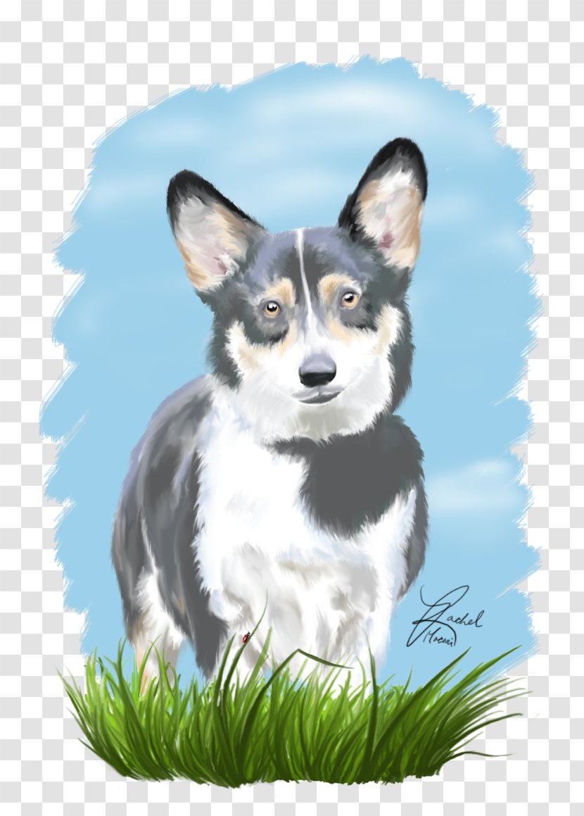 Pembroke Welsh Corgi Cardigan Norwegian Lundehund Lapponian Herder - Art - Paint Smudge Transparent PNG